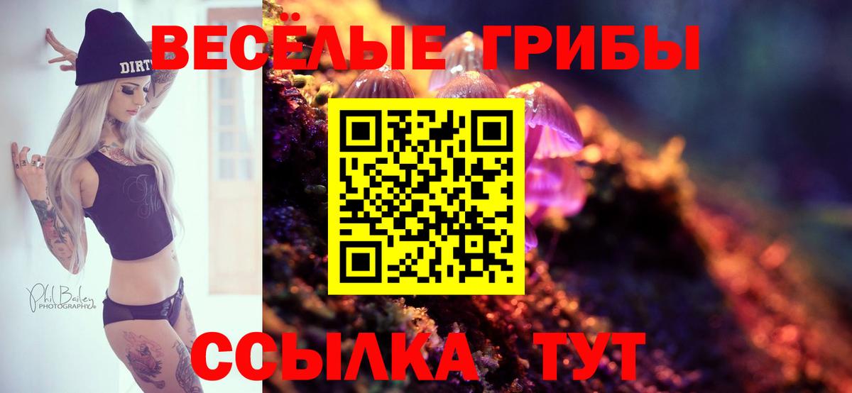 Псилоцибиновые грибы мицелий  Вход с VPN  Тулун  Галлюциногенные грибы мухоморы 